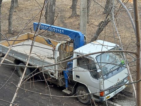 Семен