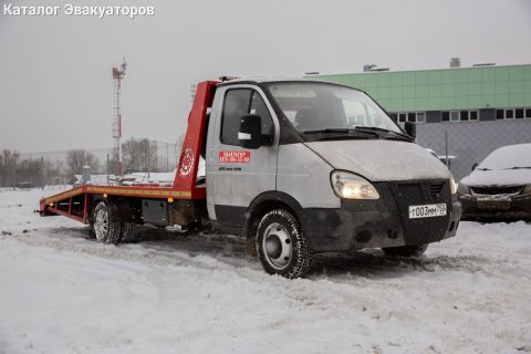 Антон